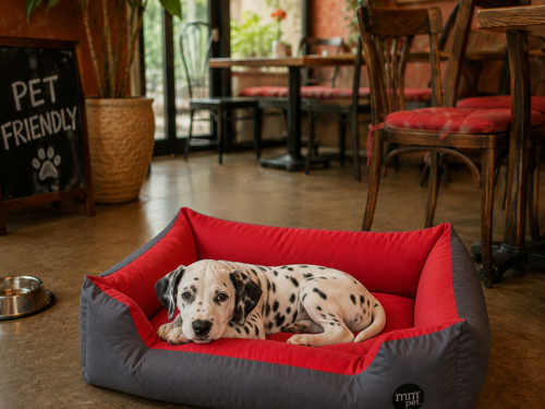 Cama Retangular GHOST